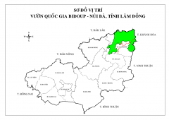 VQG-TINH
