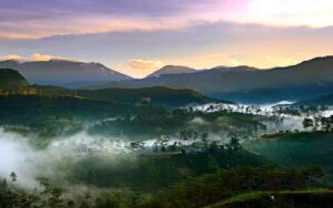 20220318-161725-xHPCr7ua