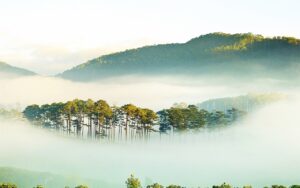 20220318-161727-7xg1QOgs