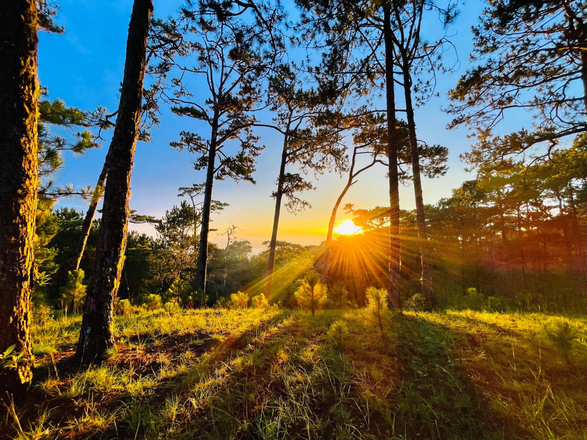 486122796_9787331044668357_5338300246951078863_n