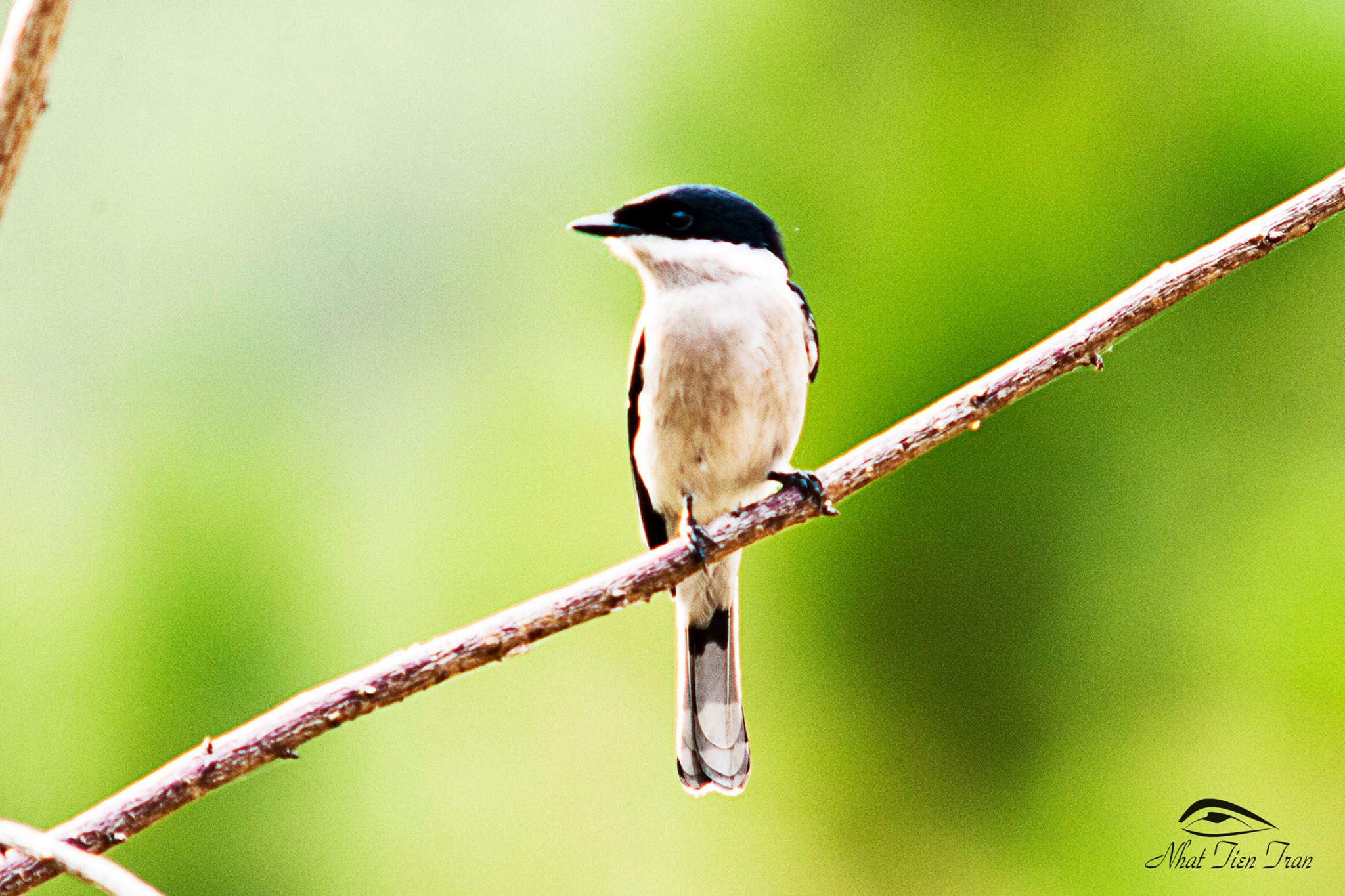 555554883_25017524637889083_8923795731392694704_n