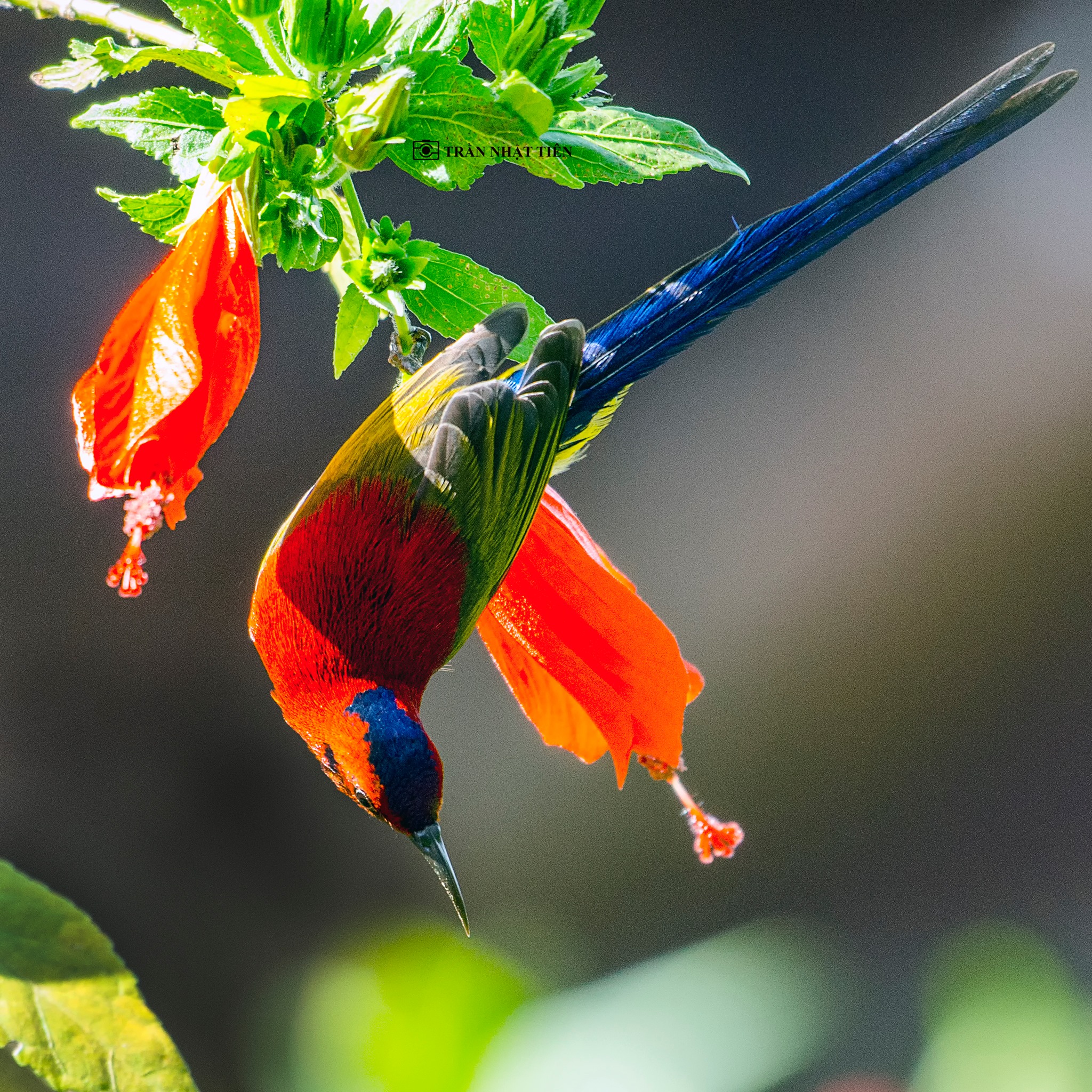 556696400_25017524191222461_5860205379073903215_n