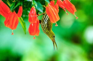 557535242_25017524611222419_8761477618176579546_n