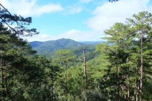 6b59ed57f93f0061592e-1